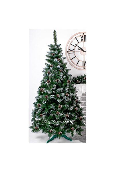 Xmasio Artificial Carpatin Christmas Tree with Cones 2 m