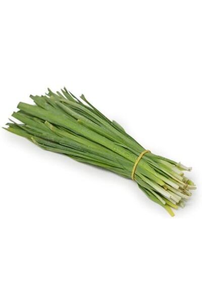 Generic High Quality Fresh Leek Seeds for Home Farming Anti-fungal Treatment