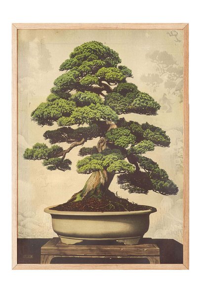 Postifull Poster cu un copac bonsai – Tablou în ramă de lemn — Nr.: 180187