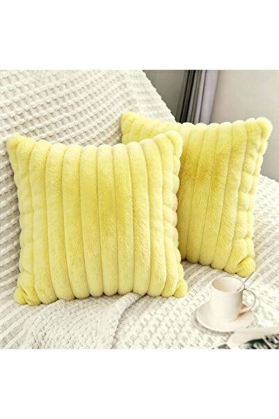 Bunliuys غطاء وسادة مخملي من قطعتين مقاس 18 × 18 انش، اغطية وسائد مربعة من ال...