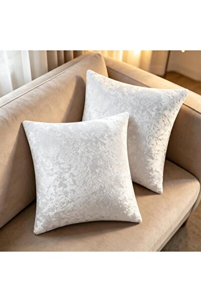Bunliuys غطاء وسادة مخملي من قطعتين مقاس 18 × 18 انش، اغطية وسائد مربعة من ال...
