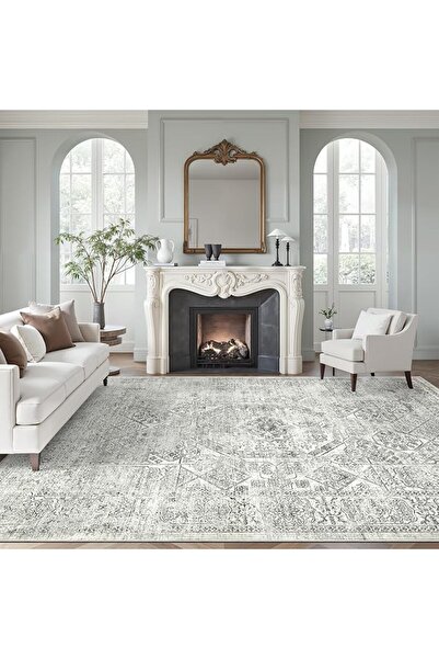 GENERAL Sumotale Washable Area Rug 8X10 Soft Beige Rug for Living Room