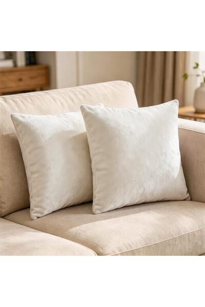 Bunliuys غطاء وسادة مخملي من قطعتين مقاس 18 × 18 انش، اغطية وسائد مربعة من ال...
