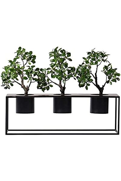 N&R نباتات اصطناعية على الطراز الصيني، شجرة الكافور المزيفة، مناسبة للمطاعم و...