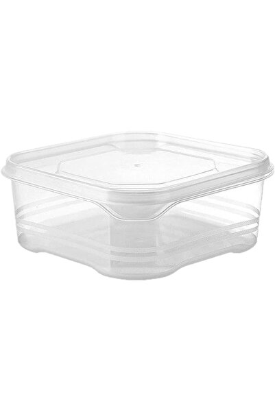 Generic Refrigerator Storage Airtight Box with Lid