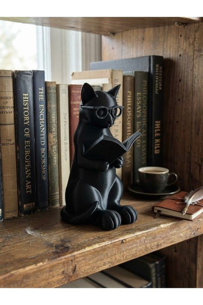 Abundix3Dstudio Tasarım Kitap Okuyan Kedi Heykeli / Estetik Kitaplık ve Raf D...