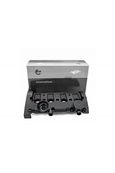 ESEN SKV Capac supape Audi A3 A4 B7 A6 C6 TT VW Caddy II Golf V VI Jetta III ...