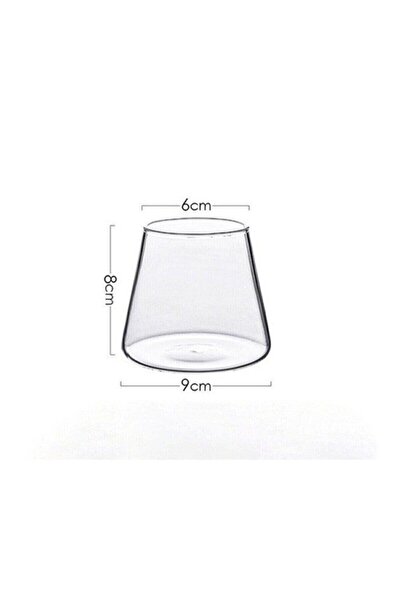 Levn Home Magnolia Bardak Borosilikat Isıya Dayanıklı Koni Sunum Ve Meşrubat Bardağı 300 ml DMR-1838