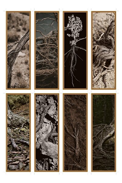OEM Set of 8 bookmarks with chaparral root theme, elegant design, durable car...