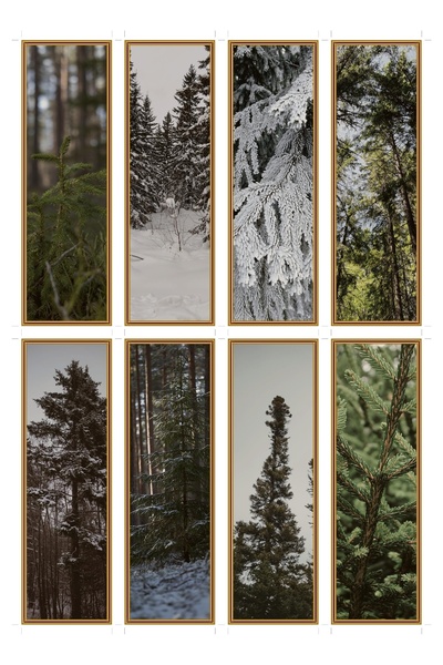 OEM Set 8 Semne de Carte cu Tematică Molid Boreal, Design Elegant, Carton Pre...