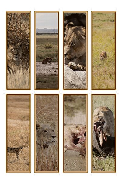 OEM Bookmarks set of 8 with the theme of savannah predators, Durable cardboar...
