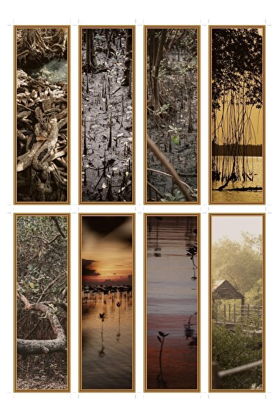 OEM Semne de Carte Set de 8, Tema Padure de Mangrove, Design Unic, Carton Pre...