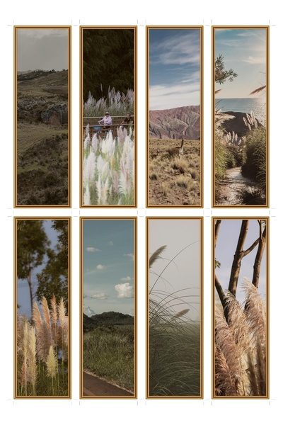OEM Semne de Carte Set de 8 cu Tema Traseu de Pampas, Design Elegant, Carton ...