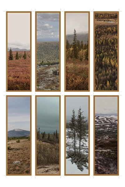 OEM Set 8 Semne de Carte Tundra Taiga, Design Inspirat din Natură, Carton Pre...
