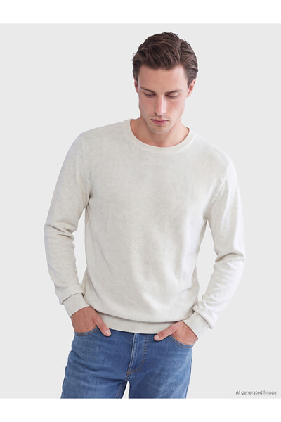 LC Waikiki Esvab • Modern & Distinctive Zero Roba Collar Men's Knitwear Sweater