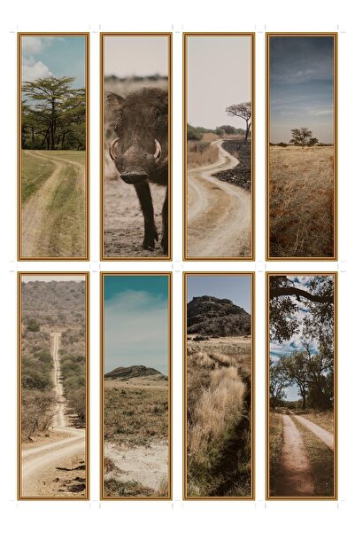 OEM Semne de Carte Set de 8, Tema Urmele din Savana, Accesorii de Lectură, Ca...