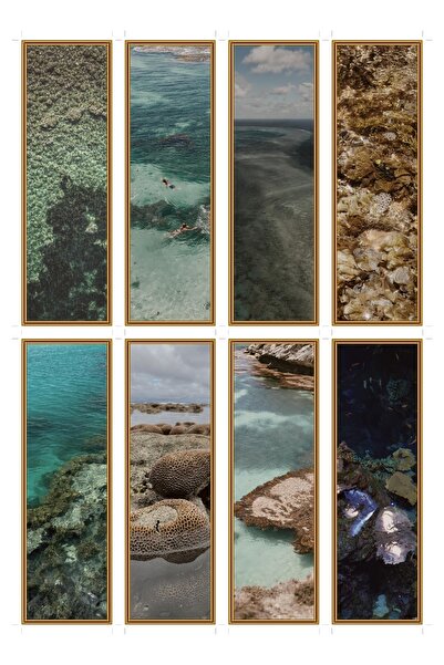 OEM Semne de Carte Set de 8 Lagoon Coral, Tematica Marina, Carton Premium, 5x...