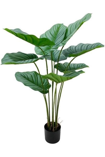 Generic Artificial Plant A Monstera Made of Acrylic, Melamine and Plastic in ...