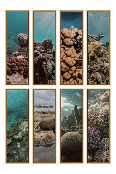 OEM Semne de carte set de 8 cu tema recif de coral, design elegant, carton de...