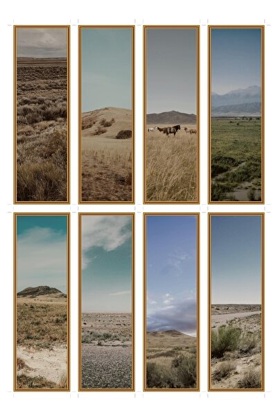 OEM Set 8 semne de carte tema biom stepa, ilustratii inspirate din natura, ca...