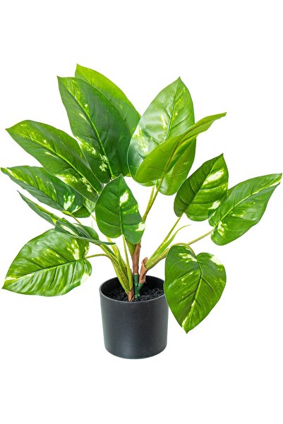 Generic نبات صناعي من البولي يوريثان 4 قطع، دبابيس شعر خضراء 20x20x50 سم