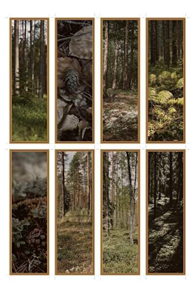 OEM Semne de Carte Set de 8, Tema Podea de Padure Boreala, Design Elegant, Ca...