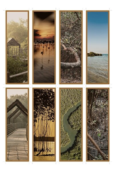 OEM Set 8 semne de carte cu peisaje din mangrove, carton premium, accesorii c...