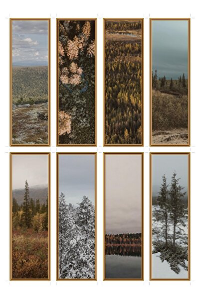 OEM Set 8 semne de carte cu tema panorame din taiga, carton premium