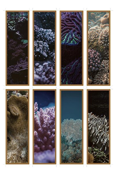 OEM Set 8 Semne de Carte Nopți de Coral, Design Elegant, Carton Premium