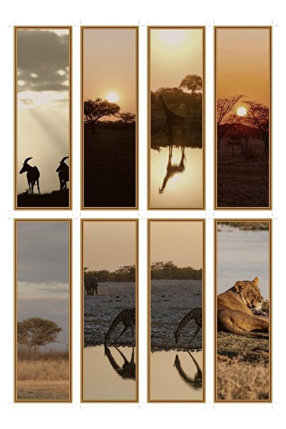 OEM Semne de Carte Set de 8 cu tema seri in savana, Design Elegant, Carton Pr...