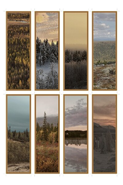 OEM Semne de Carte Set 8 Bucati Tematica Zori in Taiga, Design Elegant, Carto...