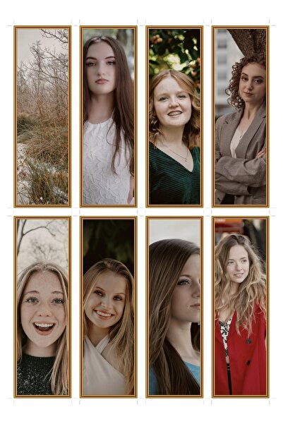 OEM Set of 8 Bookmarks with the theme of Frozen Savanna, Elegant Design, Prem...
