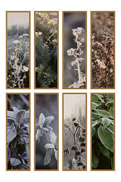 OEM Set 8 semne de carte tema brume de chaparral, design elegant, carton premium