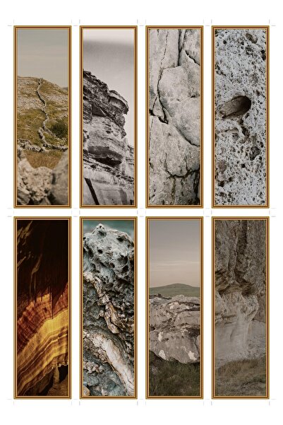 OEM Set 8 Semne de Carte cu Tema Vânturi de Calcar, Design Elegant, Carton Pr...