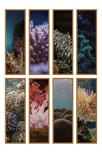 OEM Set 8 Semne de Carte cu Tematica Ceata de Coral, Design Elegant, Carton P...