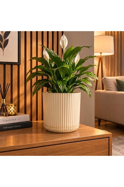 poliva home Lotus Kendinden Tabaklı 5 Litre Saksı Dekoratif Plastik Çiçek Sak...