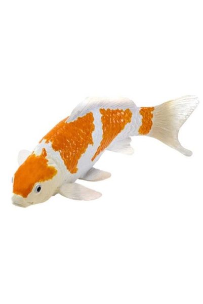 Generic Mojo Koi Carp - Ochiba Shigure Koi Gold White (381104)