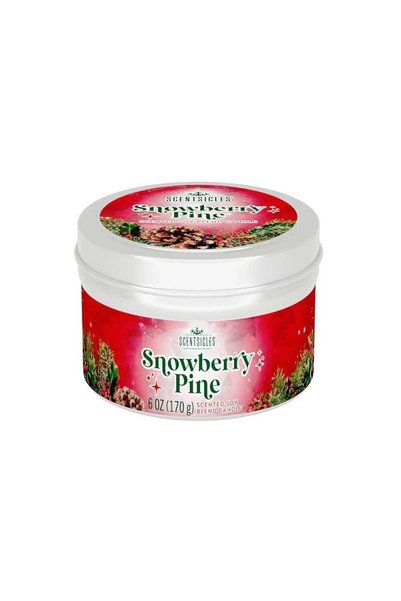 Generic Scentsicles Candles Snowberry Pine 6oz – Festive Holiday Scented Cand...
