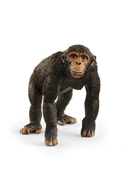 Generic Schleich Wild Life Chimpanzee Figure (7.70 x 4.14 x 6.10 cm, Black)