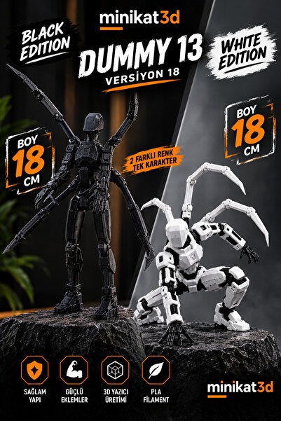 Dummy 13 Edition Paket