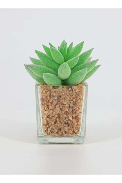 Generic Pack of 2 Artificial Succulent Bonsai – Realistic Decorative Green Pl...