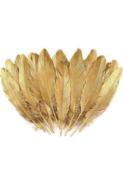 Generic 30 Gold Goose Feathers for Crafts, 6-8 Inch Natural Feathers for Wedd...