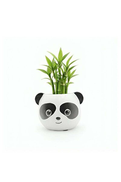Generic Cute Animal Tea Pot Panda Polyresin Decorative Succulent Planter Cart...