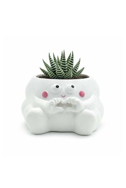 Generic Clouds Heart Design Flower Pot Polyresin Cute Cloud Shaped Succulent ...