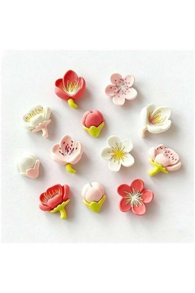 Generic 12 Pieces of Flower Fridge Magnet Flower Magnets Whiteboard Magnets f...