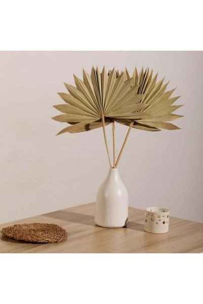 Generic 4 Pcs Natural Dried Palm Leaves, Palm Fans & Spears for Boho Wedding ...