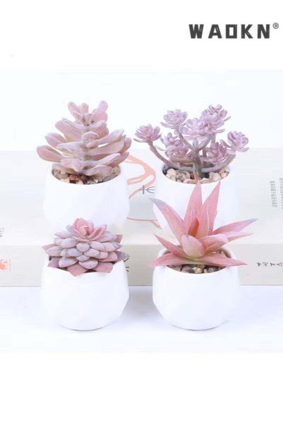 Generic Set of 4 Artificial Succulent Plants in White Ceramic Pots, Pink, Rea...