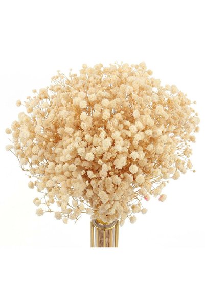 Generic Dried Flowers Babys Breath Bouquet,100% Natural 17.2" 3000+ Ivory Whi...