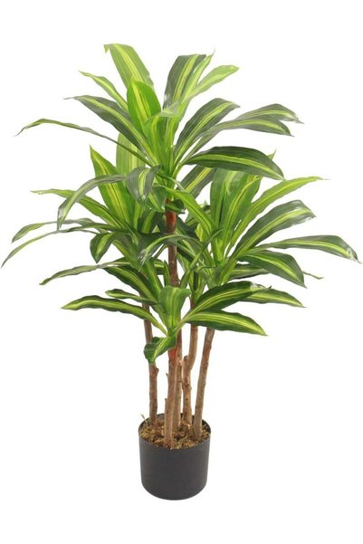 Generic MARCOLO Artificial Dracaena Plant in Black Pot, Green Variegated Leav...