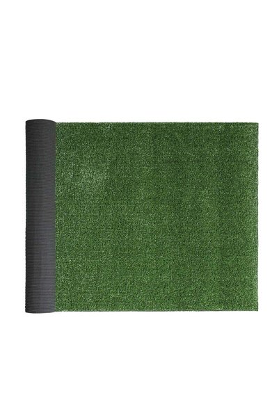 Generic FFD Artificial Grass Carpet 2m x 2m– Thick Synthetic Turf Mat with Na...